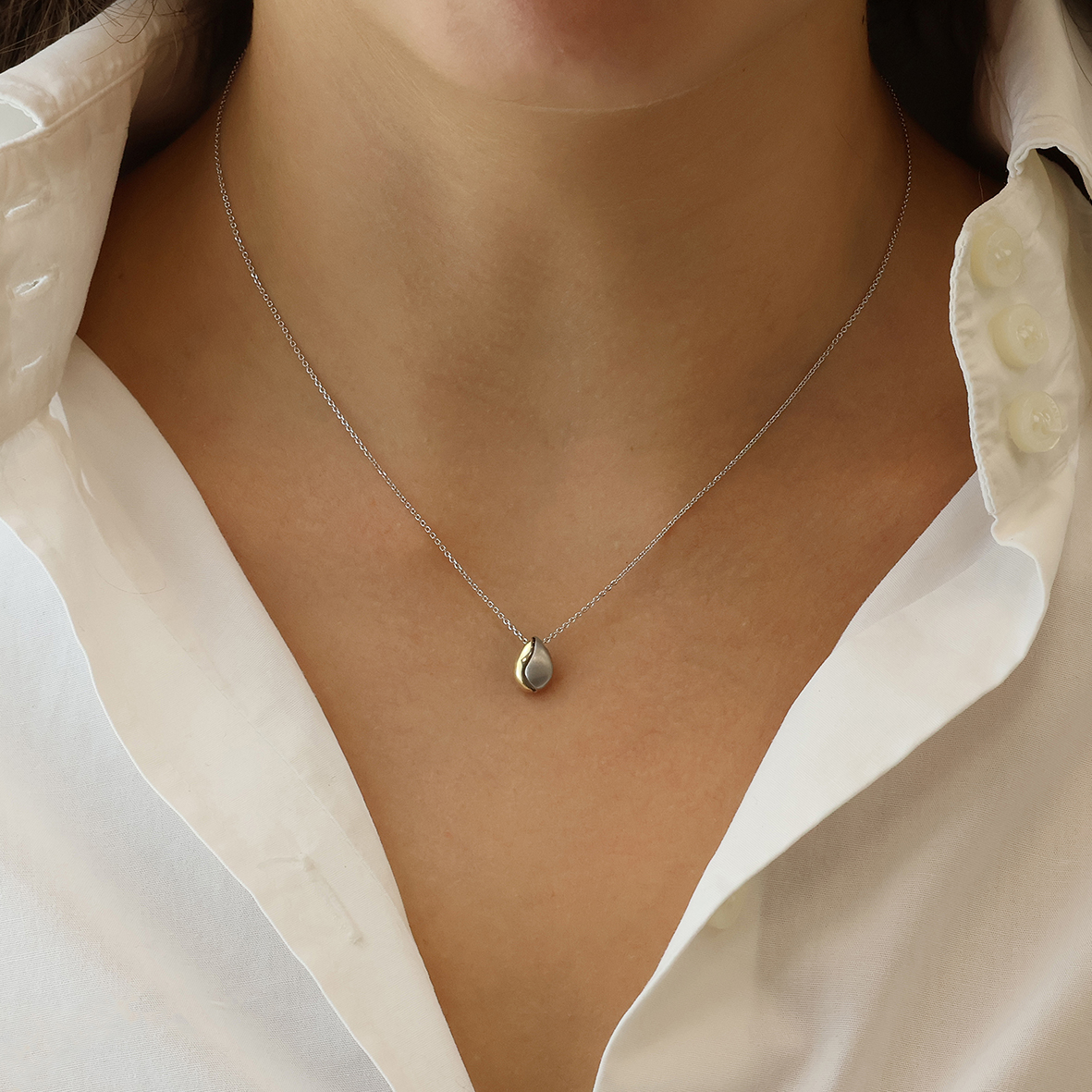 Κολιέ από ασήμι 925 και χρύσο Κ14